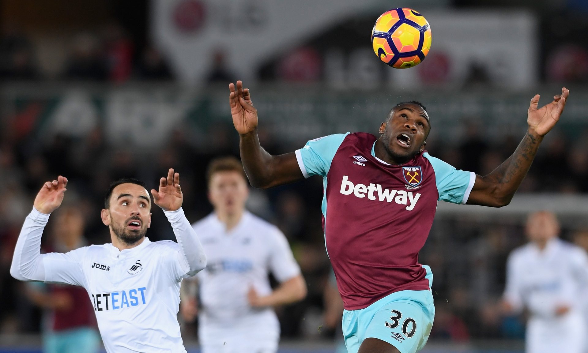 家族的强烈 家族的强烈